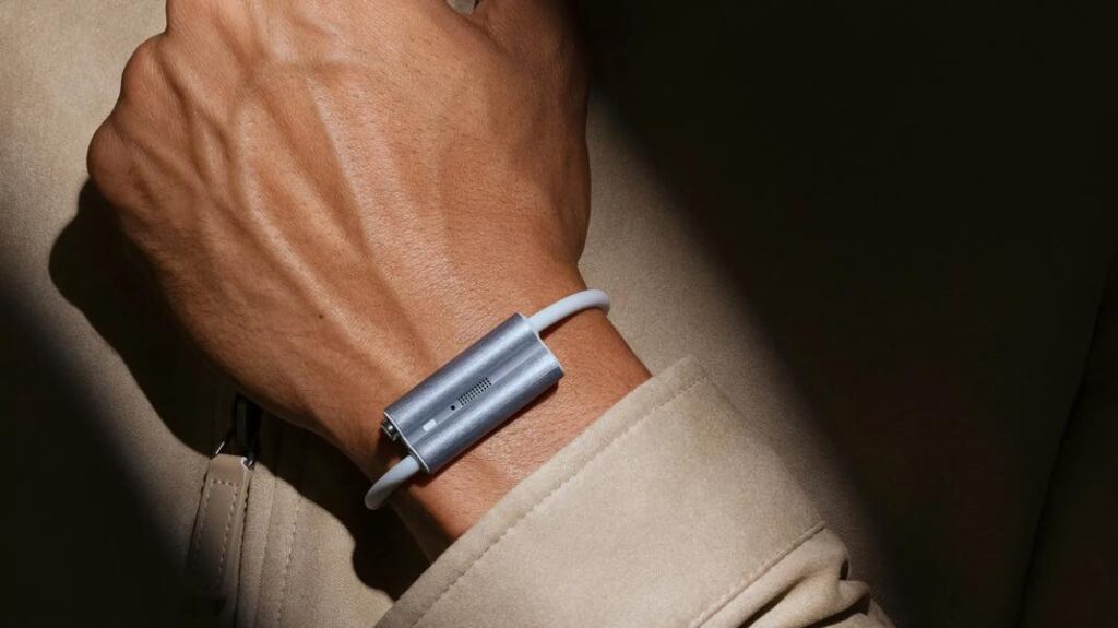 Luffu Fitbit