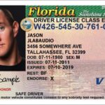 permis-de-conduire-etats-unis-floride