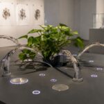Plante reliée à des vrilles robotiques sur une table interactive