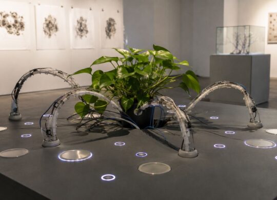 Plante reliée à des vrilles robotiques sur une table interactive