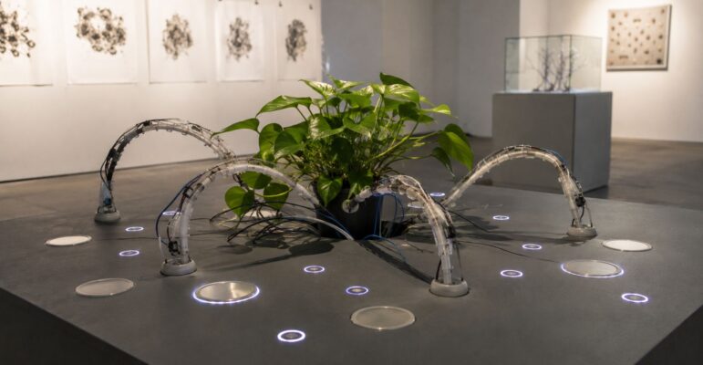 Plante reliée à des vrilles robotiques sur une table interactive