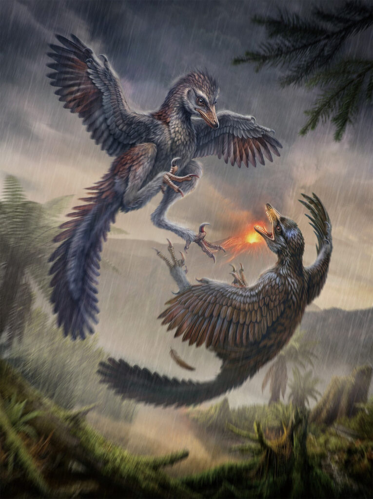 Yuezhuornis Yangyuanensis