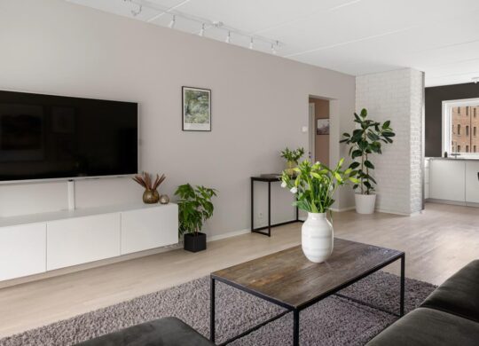 tv salon