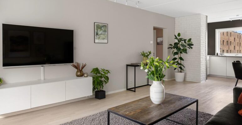 tv salon